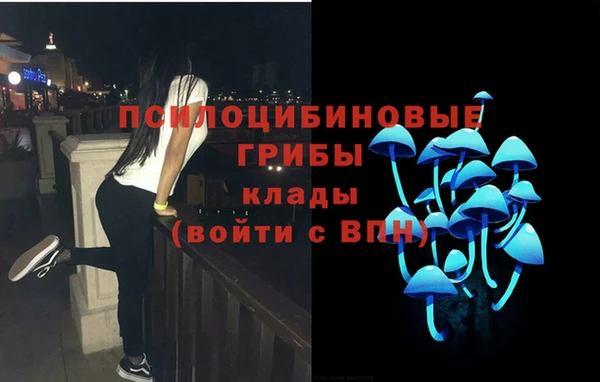 не бодяженный Алзамай