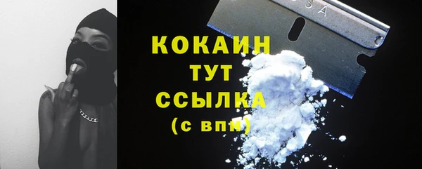 прущий лед Алексин