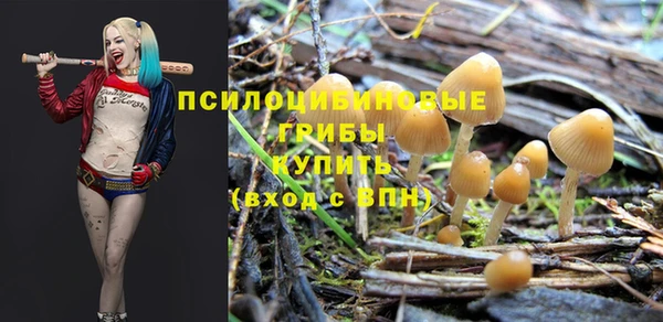 крисы Алексеевка