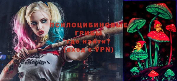 прущий лед Алексин