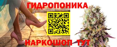эйфоретик Коммунар