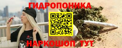 гидра Комсомольск-на-Амуре