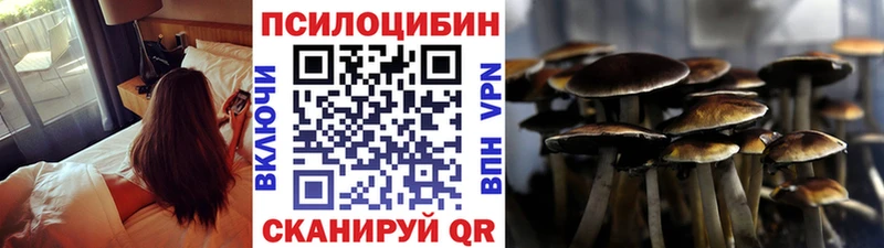 Галлюциногенные грибы Psilocybine cubensis  Куйбышев 