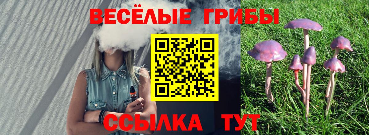Галлюциногенные грибы Psilocybine cubensis Куйбышев